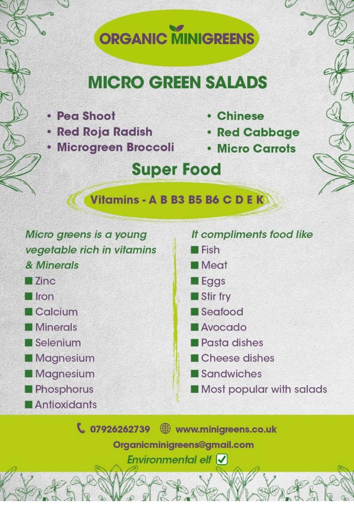 Micro Greens Salads  Image